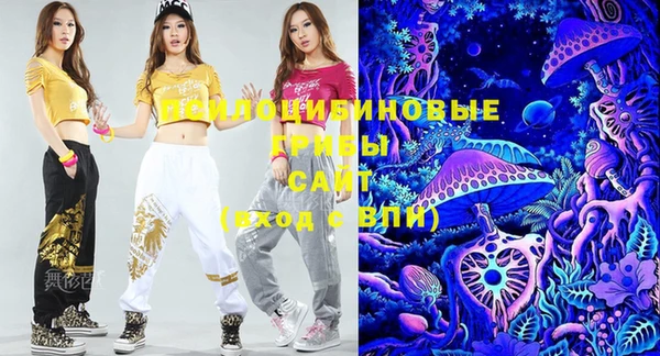 PSILOCYBIN Покров