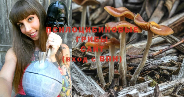 герыч Протвино