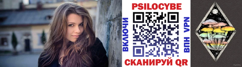 Купить  Берёзовка  Галлюциногенные грибы мицелий 